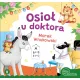 Zdjecie nr 1