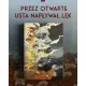 Zdjecie nr 5