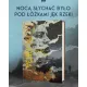 Zdjecie nr 6