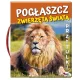 Zdjecie nr 1