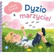 Zdjecie nr 1