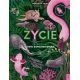 Zdjecie nr 1