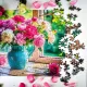 Zdjecie nr 6