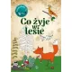 Co �yje w lesie. Kolorowanka