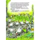 Zdjecie nr 6