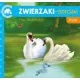Zdjecie nr 1