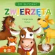 Zdjecie nr 1