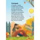 Zdjecie nr 3
