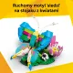 Zdjecie nr 5