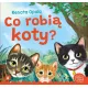 Zdjecie nr 1
