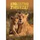 Zdjecie nr 1