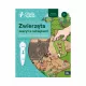 Zdjecie nr 1