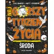Zdjecie nr 1