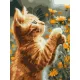 Zdjecie nr 1