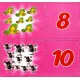 Zdjecie nr 6