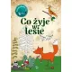 Zdjecie nr 4