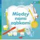 Zdjecie nr 1