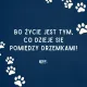 Zdjecie nr 3