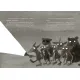 Zdjecie nr 3