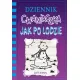 Zdjecie nr 1