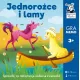 Zdjecie nr 2