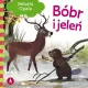 Zdjecie nr 1