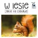 Zdjecie nr 2