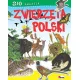 Zdjecie nr 1