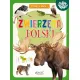 Zdjecie nr 1