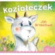 Zdjecie nr 1