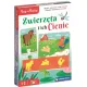Zdjecie nr 1