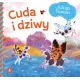 Zdjecie nr 1