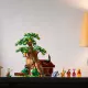 Zdjecie nr 4