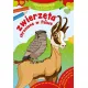 Zdjecie nr 7