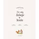 Zdjecie nr 2