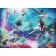 Zdjecie nr 3