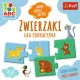 Zdjecie nr 5