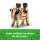 Zdjecie nr 5