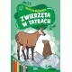 Zdjecie nr 1
