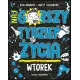 Zdjecie nr 1