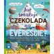 Zdjecie nr 1