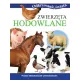 Zdjecie nr 1