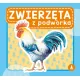 Zdjecie nr 1