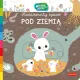 Zdjecie nr 1