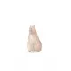 Zdjecie nr 4