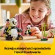 Zdjecie nr 5