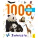 Zdjecie nr 1