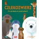 Zdjecie nr 1