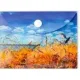 Zdjecie nr 1
