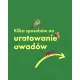 Zdjecie nr 6